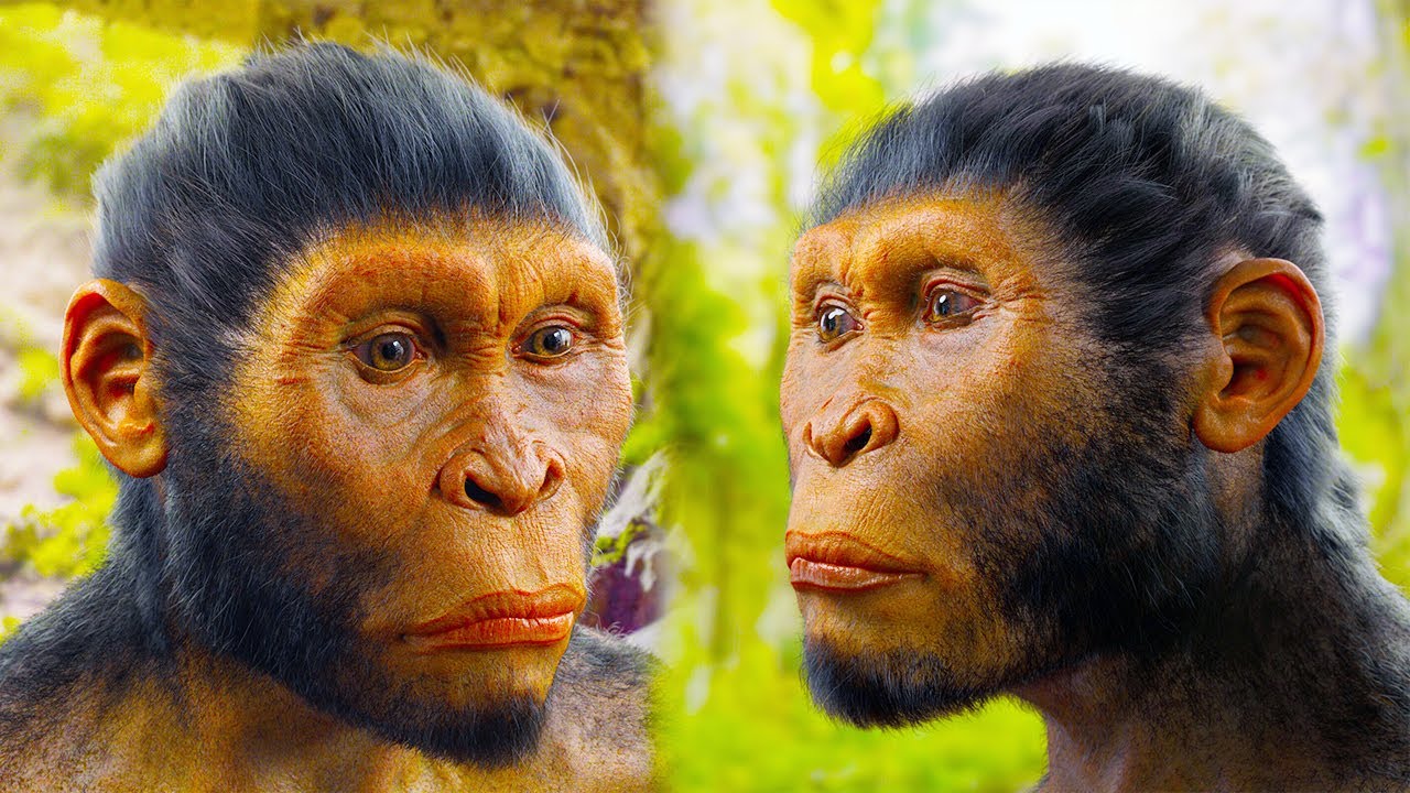 Homo habilis episode thumbnail