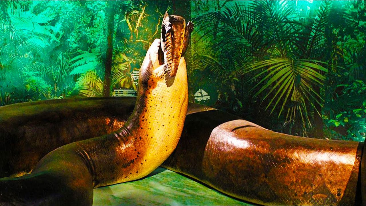 Titanoboa episode thumbnail