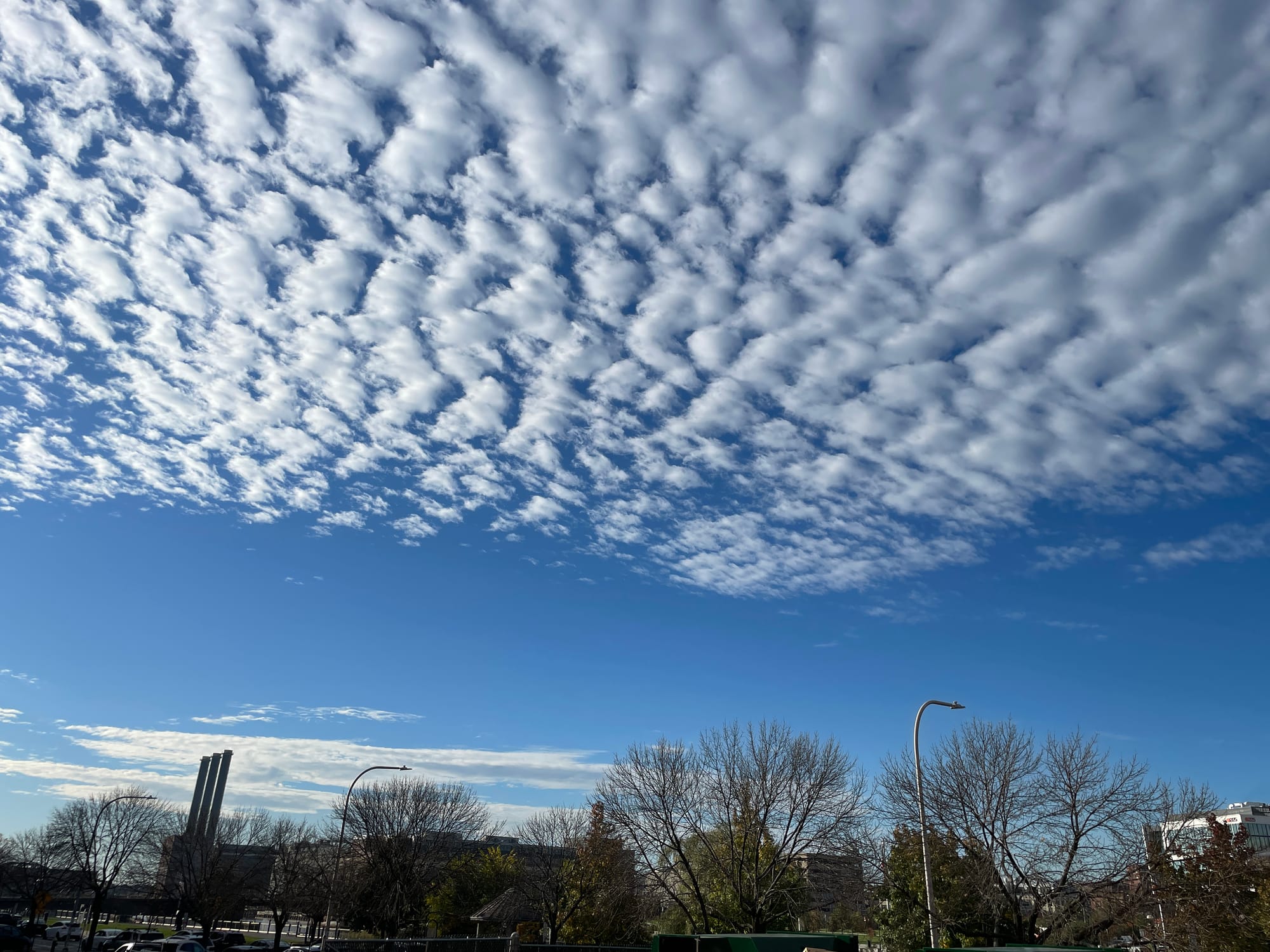 A mackerel sky of dappled clouds over the Providence skyline and bare trees