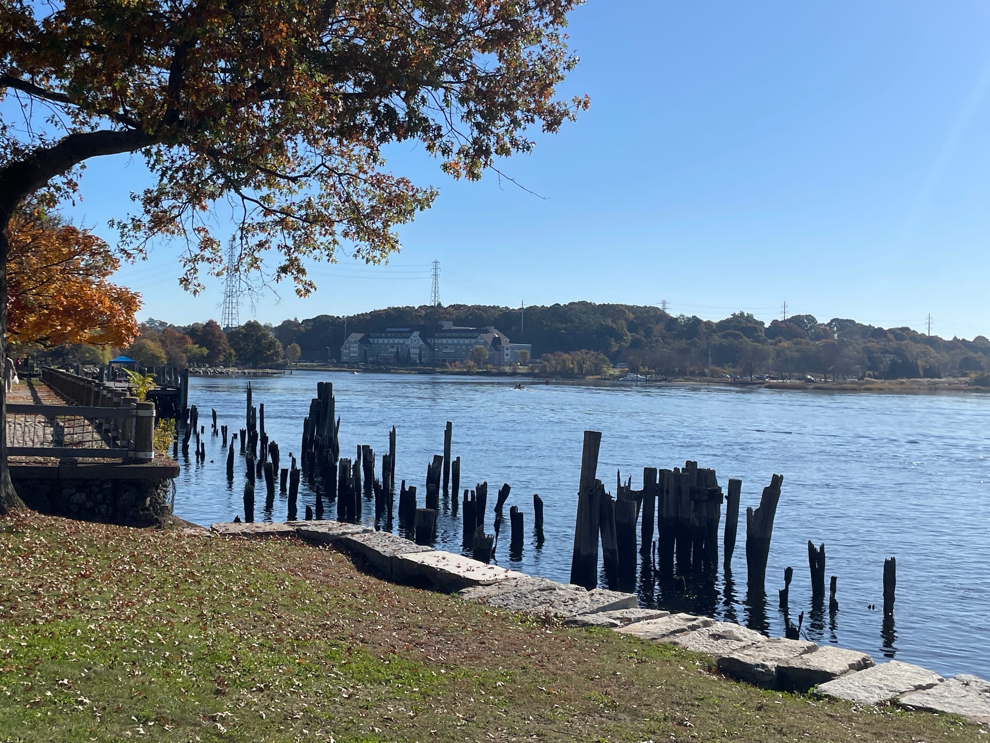The Providence coastline with old wooden pilings in the water and an autumn tree framing the far shore