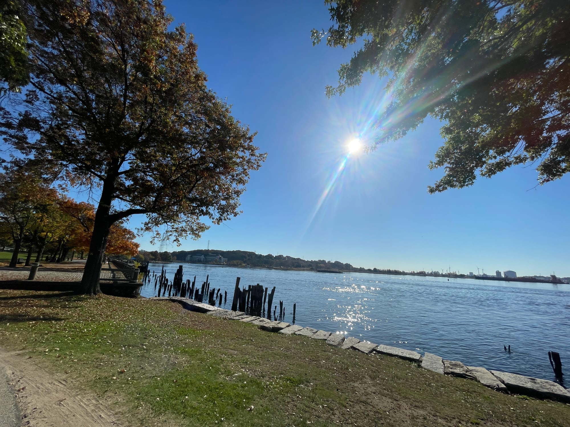 Sunlight flaring over the Providence River with tree silhouettes and a grass bank