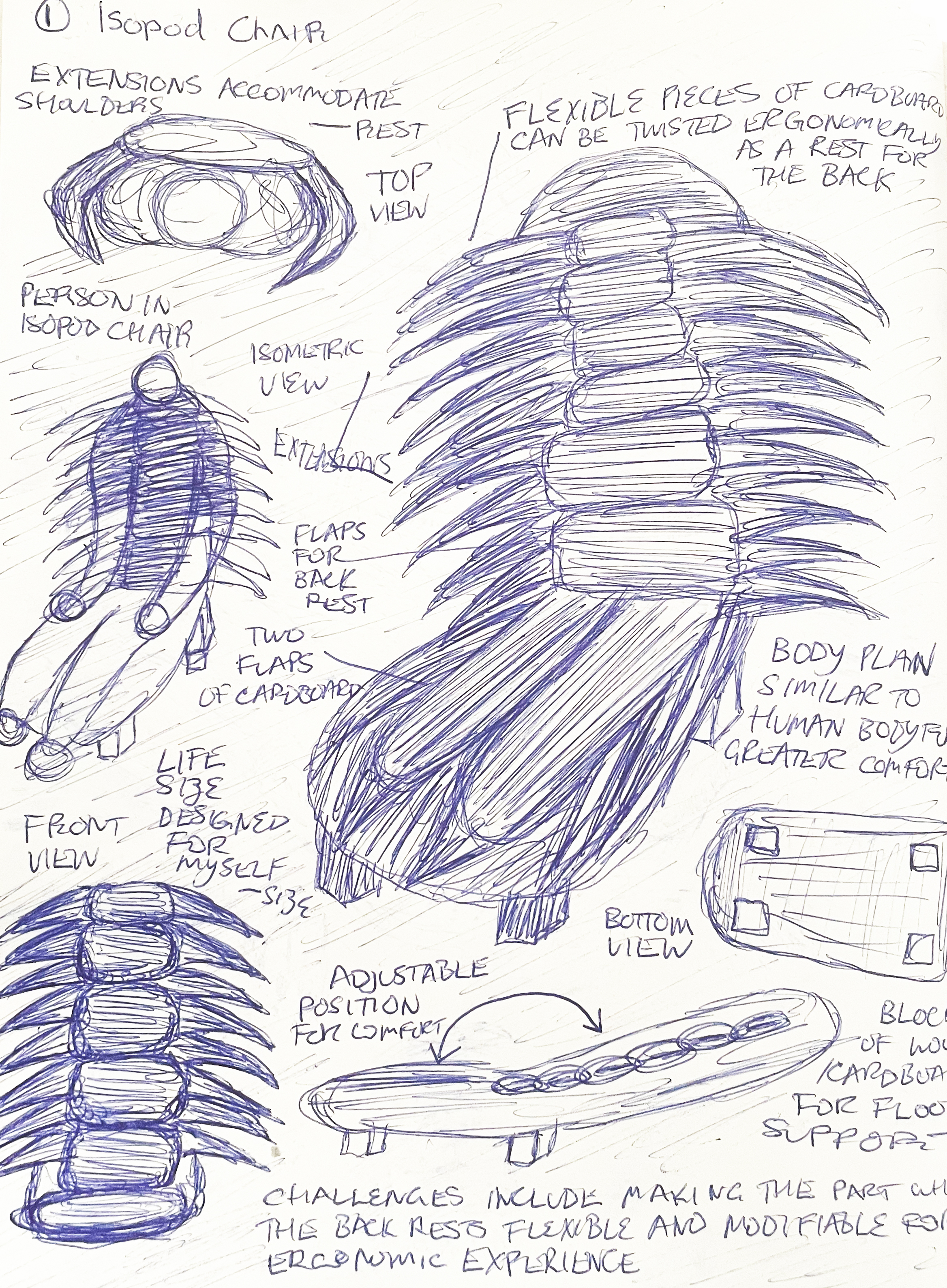 Isopod Chair
